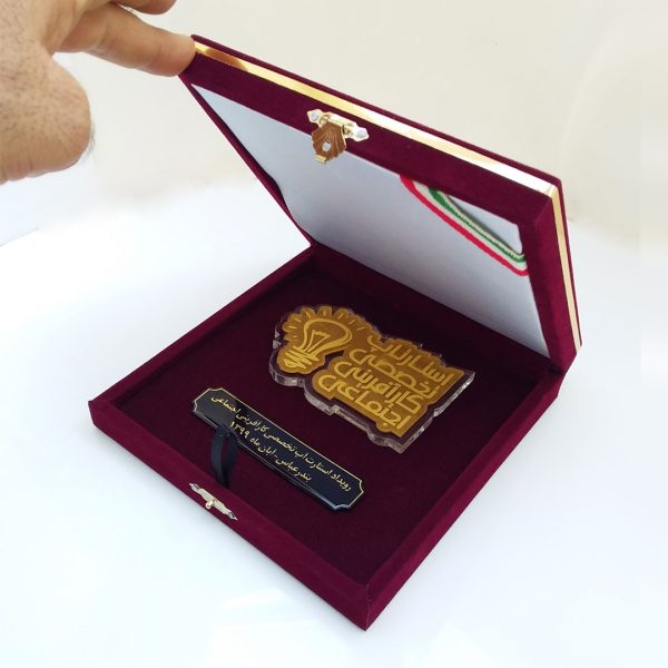 جعبه نشان ( مدالیون ) استارتاپ تخصصی کارآفرینی اجتماعی - 17 در 17 سانت