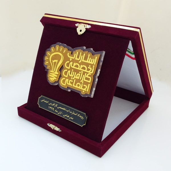 جعبه نشان ( مدالیون ) استارتاپ تخصصی کارآفرینی اجتماعی - 17 در 17 سانت